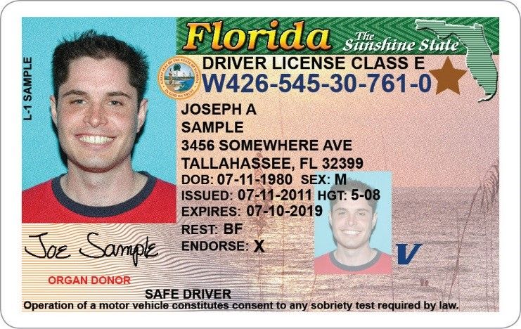 Free drivers license template software